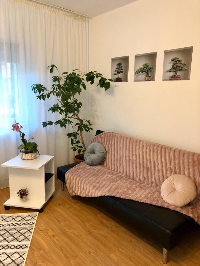 Mia'S House Pitesti Exterior photo